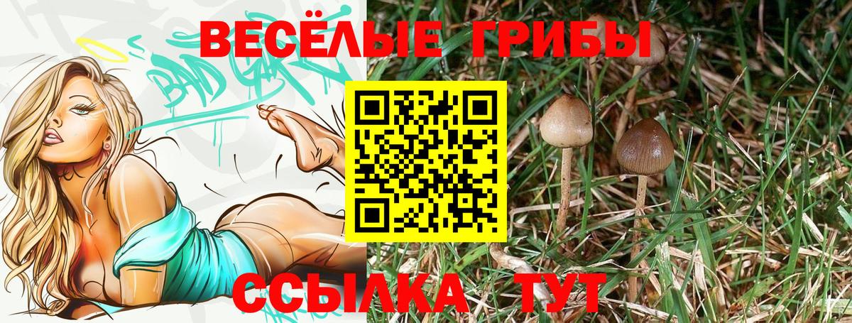 Псилоцибиновые грибы Magic Shrooms Майкоп