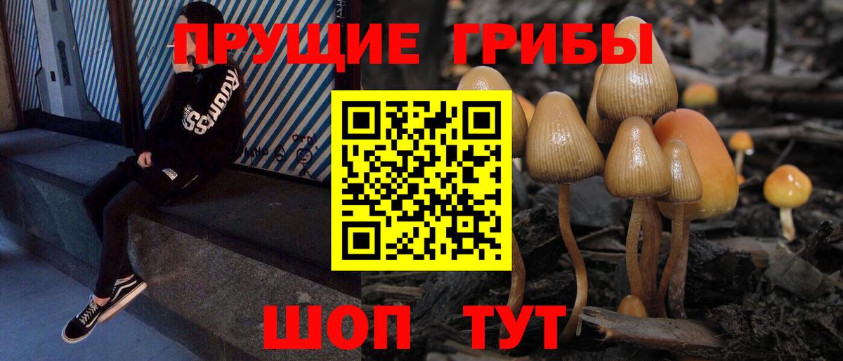 Майкоп  Псилоцибиновые грибы MAGIC MUSHROOMS  Вход с VPN 